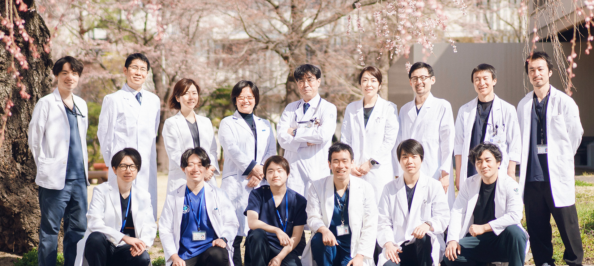 東北大学病院　形成外科：スライドショー写真