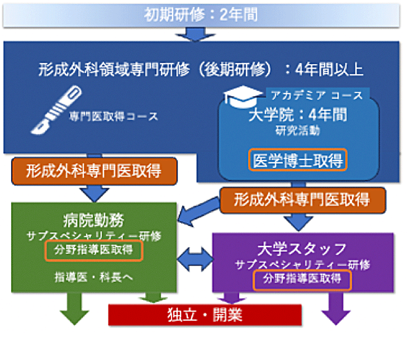 キャリアパス全体像