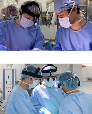 東北大学形成外科臨床研修プログラム（３～４年目）